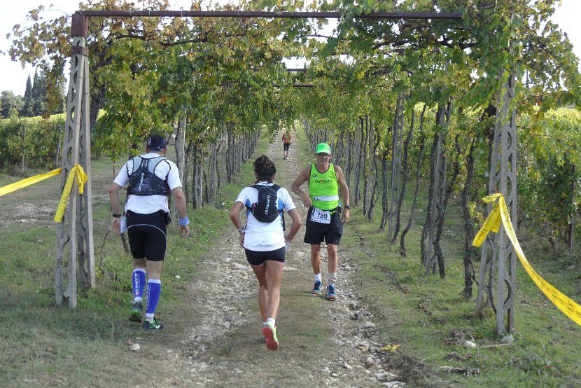 Chianti-1 2016 - 075